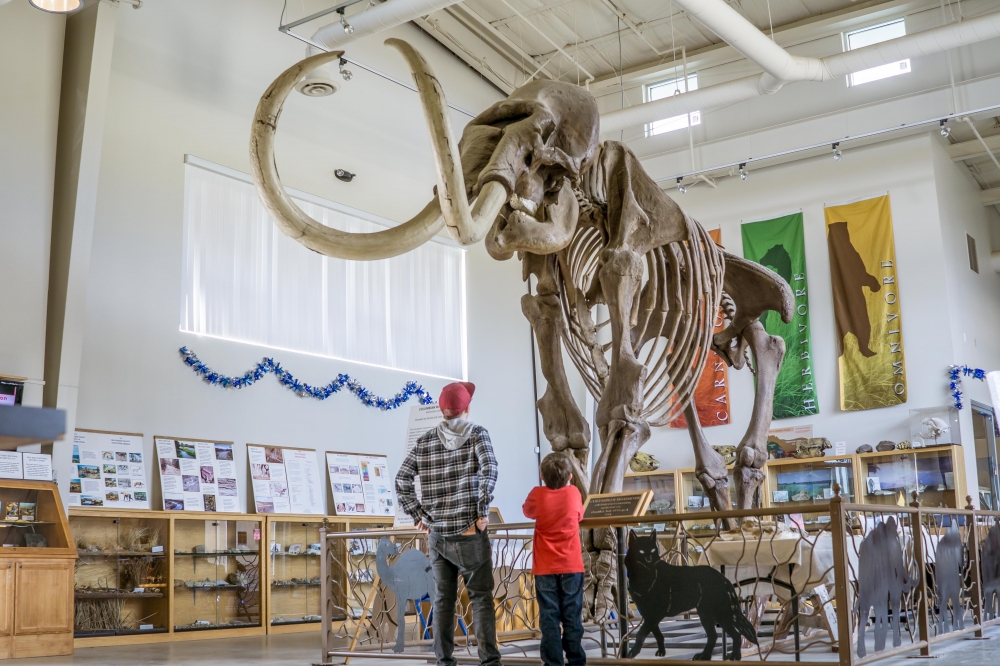 Fossil Discovery Center of Madera County