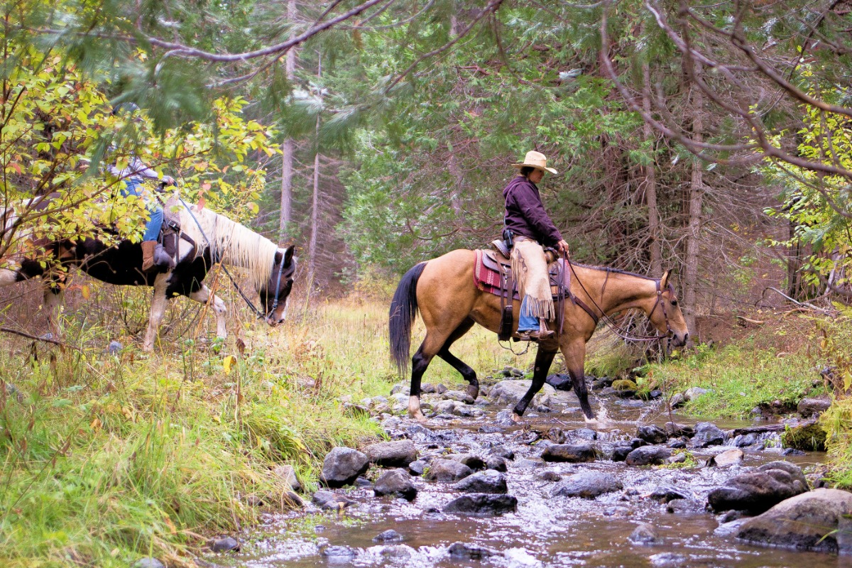 Yosemite Trails Horseback Adventures
