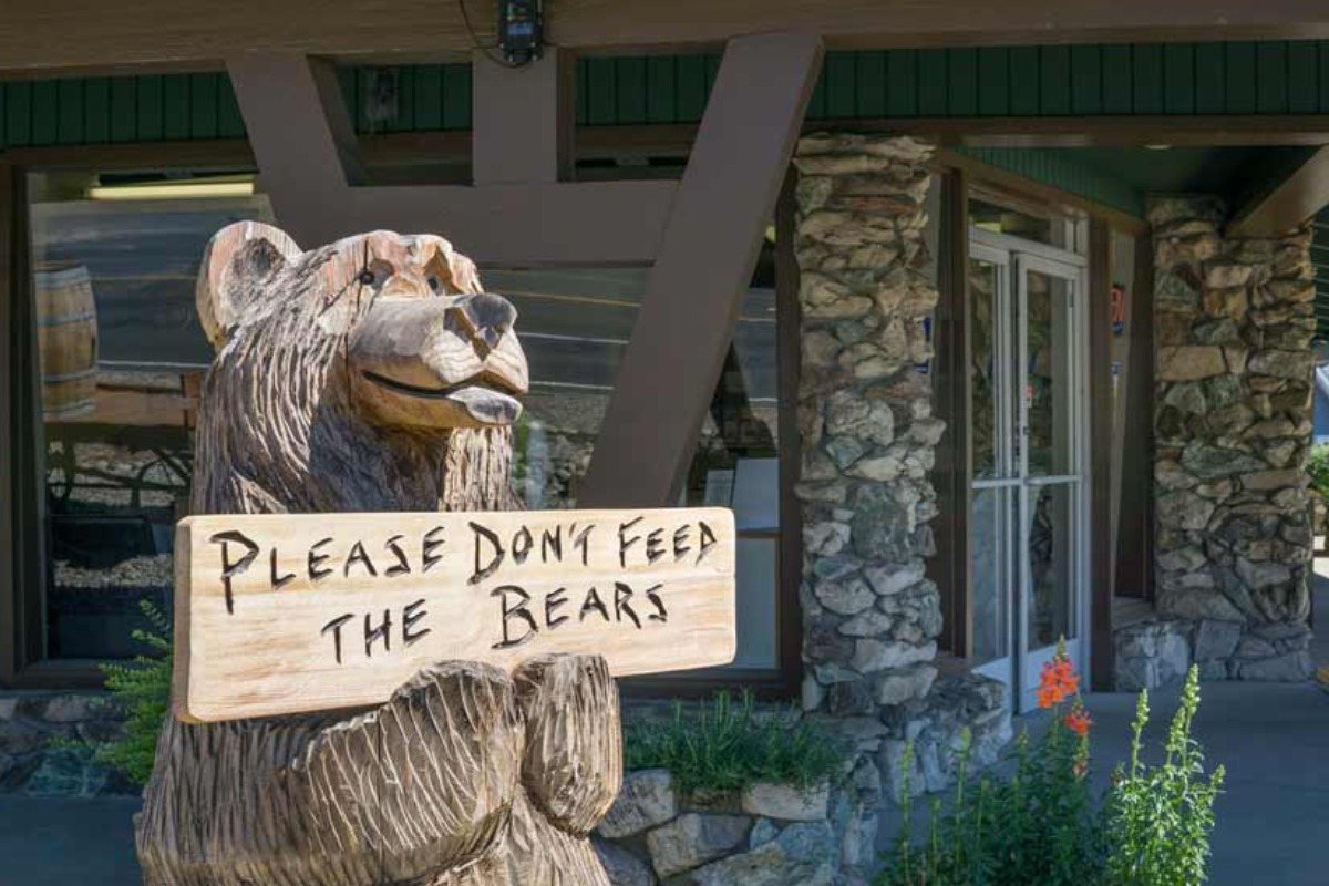 Carved Bear at Visitor Center