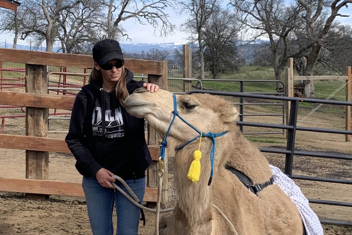 Volunteer with camel.