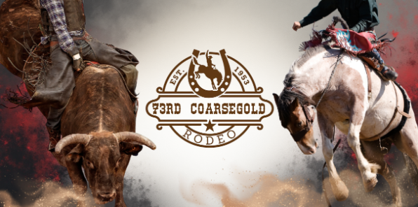 Rodeo bull riding and bronc riding.