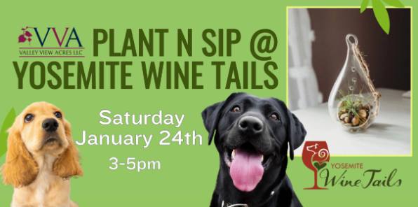 Flyer for Plant 'n Sip Event at pet-friendly winery, Yosemite Wine Tails.