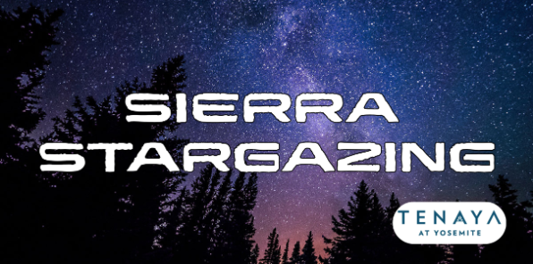 Banner showing the star-filled night sky and pine trees.