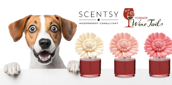 A surprised jack russel terrier dof peaks over a counter with perfume flowers.