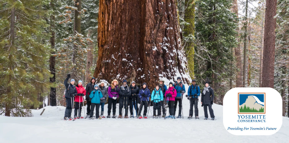 Group-of-snowshoe-hikers-in-the-Mariposa-Grove.