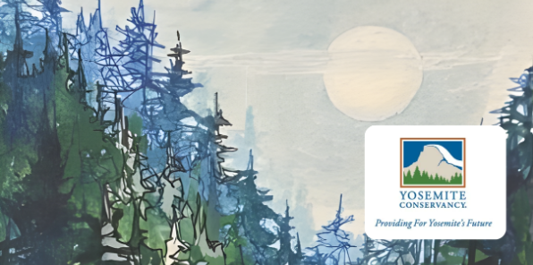 Watercolor painting of pine and fir trees with the full moon in the sky.