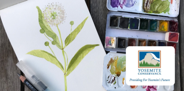 Watercolor painting of a plant.