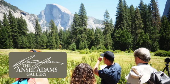 Smartphone Photography class in Yosemite. 
