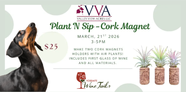 Dachshund looking up at banner for Cork Magnet event.