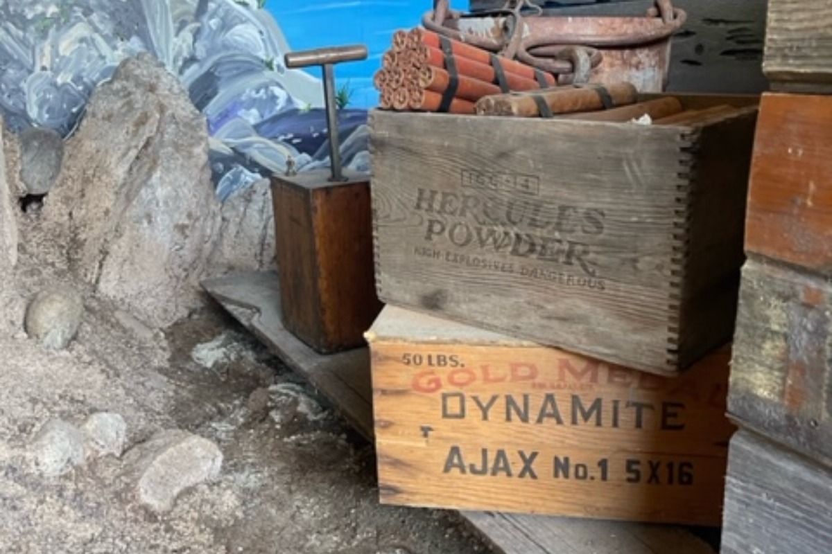 angry bear mining co