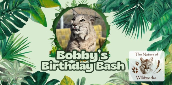 Jungle leafs and a bobcat. 