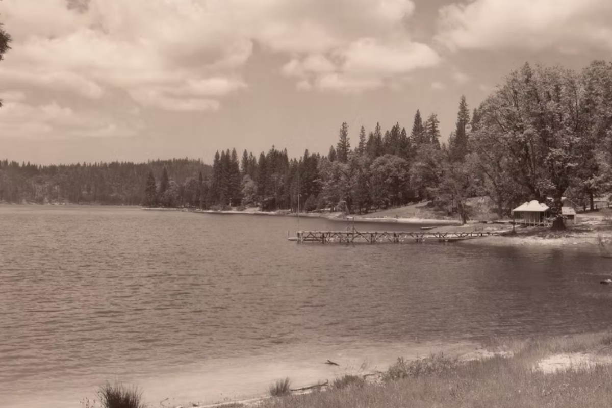 historical photo of the pines area at bass lake