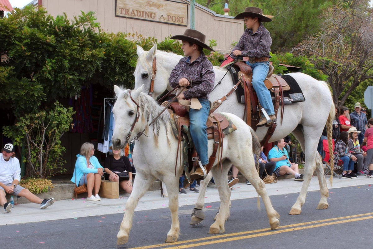 Two young boys on white horses.