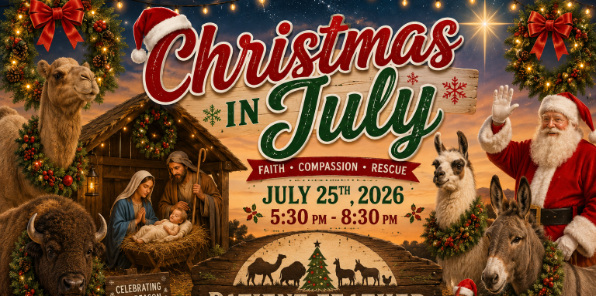 Banner for Christmas in July, featuring a camel, bison, donkey, llama, chicken Santa Claus and the Nativity.