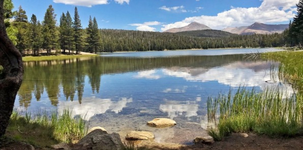 Dog Lake in Tuolomne Meadows