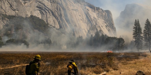 Fire ecology in Yosemite Valley