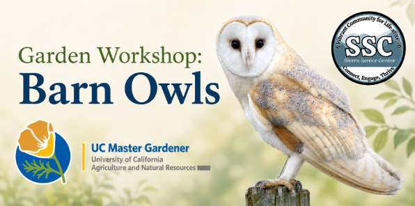 Barn Owl gardening workshop event.