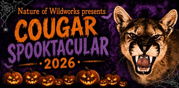 Halloween themed event at Nature of Wildworks.