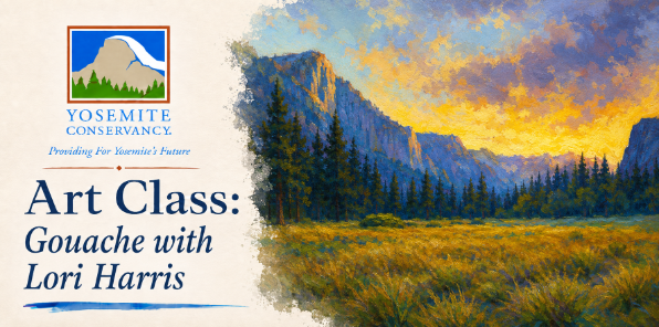 Art class in Yosemite.