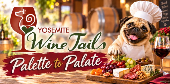 A pug dog enjoying a charcuterie board at Yosemite Wine Tails.