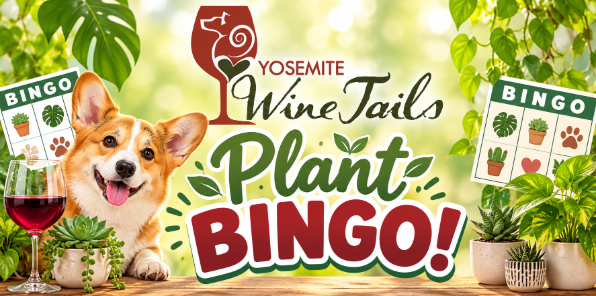 Plant bingo event at Yosemite Wine Tails