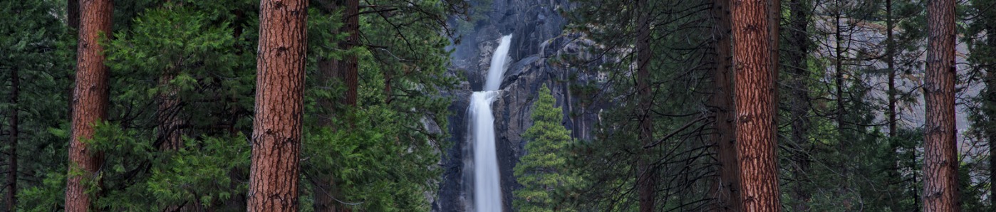 Lower Yosemite Falls throught the Trees